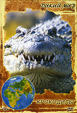 Дикий мир Крокодилы Формат: DVD (PAL) (Упрощенное издание) (Keep case) Дистрибьютор: DVD Alliance Региональный код: 5 Количество слоев: DVD-5 (1 слой) Звуковые дорожки: Русский Синхронный перевод Dolby инфо 13177j.