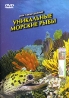 Уникальные морские рыбы Формат: DVD (PAL) (Keep case) Дистрибьютор: Эврика фильм Региональный код: 5 Звуковые дорожки: Русский Dolby Digital 2 0 Формат изображения: Standart 4:3 (1,33:1) Лицензионные инфо 13802j.