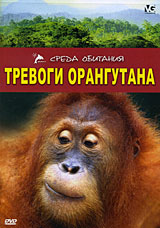 Тревоги орангутана Серия: Среда обитания инфо 166l.