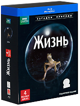 BBC: Жизнь Подарочное издание (4 Blu-ray) Серия: Загадки природы инфо 3467b.