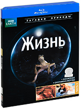 BBC: Жизнь Часть 3 (Blu-ray) Серия: Загадки природы инфо 3682b.