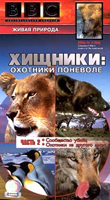 BBC: Хищники: Охотники поневоле Часть 2: Сообщество убийц / Охотники из другого мира Серия: Живая природа инфо 3529l.