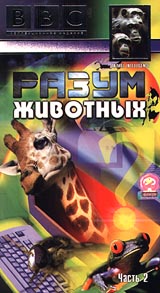 BBC: Разум животных: Часть 2 Формат: VHS Дистрибьютор: СОЮЗ Видео HiFi Stereo ; Русский Синхронный перевод Лицензионные товары Характеристики видеоносителей 1997 г , 50 мин , Великобритания BBC Документальный фильм инфо 3613l.