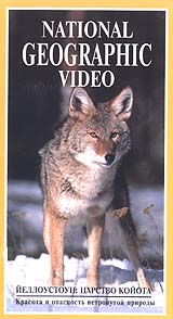 National Geographic Video Йеллоустоун: царство койота Формат: VHS Дистрибьютор: Пирамида Русский Лицензионные товары Характеристики видеоносителей 1995 г , 53 мин , США National Geographic Society Научно - популярный фильм инфо 3639l.