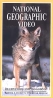 National Geographic Video Йеллоустоун: царство койота Формат: VHS Дистрибьютор: Пирамида Русский Лицензионные товары Характеристики видеоносителей 1995 г , 53 мин , США National Geographic Society Научно - популярный фильм инфо 3639l.