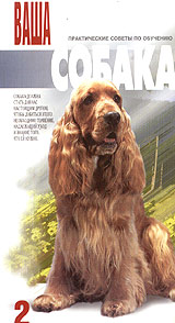 Ваша собака 2 Формат: VHS (PAL) Дистрибьютор: Видеогурман Лицензионные товары Характеристики видеоносителей 60 мин , Россия Hyperactive Films Обучающая видеопрограмма инфо 3646l.